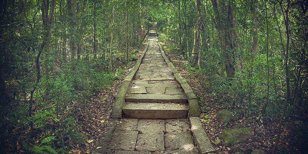 Ritigala Forest Monastery Day Tour – Explore Ancient Monastic Ruins in the Jungle